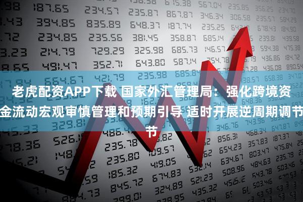 老虎配资APP下载 国家外汇管理局：强化跨境资金流动宏观审慎管理和预期引导 适时开展逆周期调节