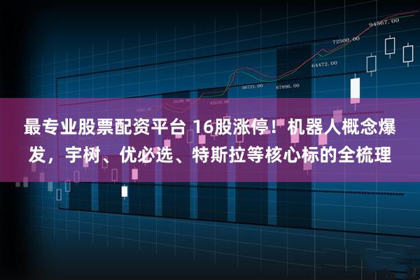 最专业股票配资平台 16股涨停!机器人概念爆发,宇树、优必选、特斯拉等核心标的全梳理