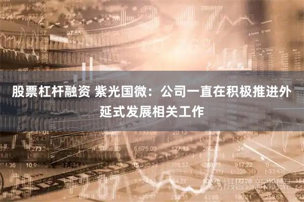 股票杠杆融资 紫光国微：公司一直在积极推进外延式发展相关工作