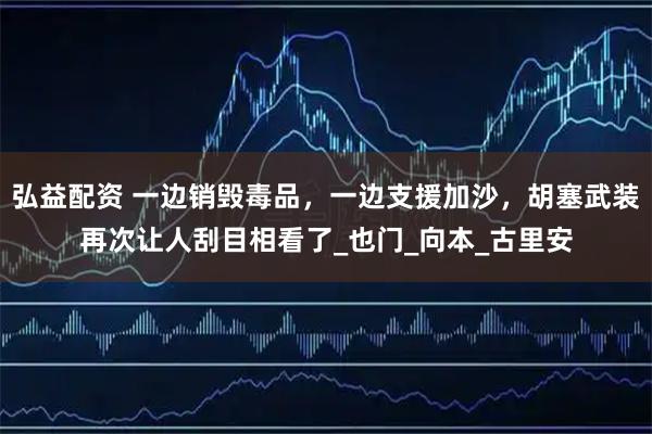 弘益配资 一边销毁毒品,一边支援加沙,胡塞武装再次让人刮目相看了_也门_向本_古里安